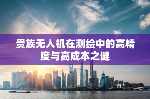 贵族无人机在测绘中的高精度与高成本之谜
