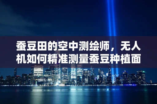 蚕豆田的空中测绘师，无人机如何精准测量蚕豆种植面积？