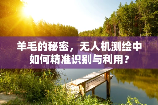 羊毛的秘密，无人机测绘中如何精准识别与利用？