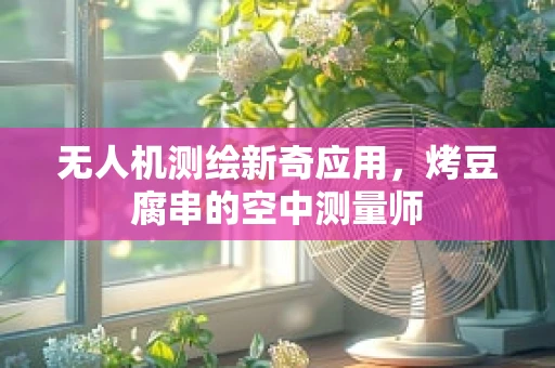 无人机测绘新奇应用，烤豆腐串的空中测量师