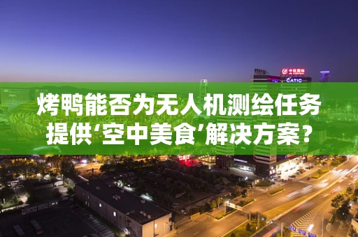 烤鸭能否为无人机测绘任务提供‘空中美食’解决方案？