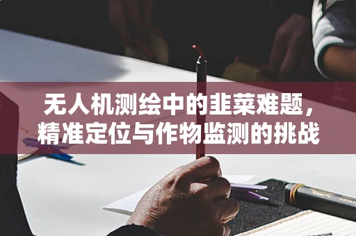 无人机测绘中的韭菜难题，精准定位与作物监测的挑战