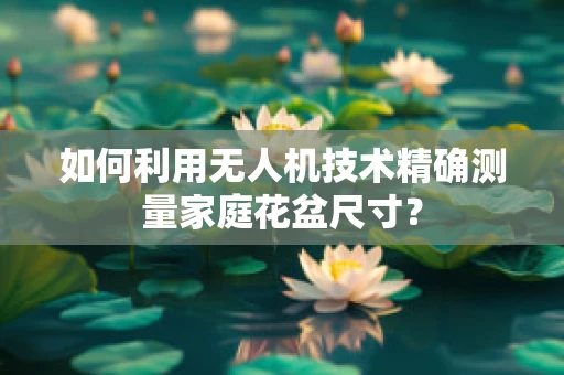 如何利用无人机技术精确测量家庭花盆尺寸？