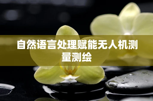自然语言处理赋能无人机测量测绘