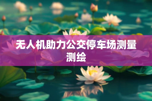 无人机助力公交停车场测量测绘