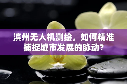 滨州无人机测绘，如何精准捕捉城市发展的脉动？