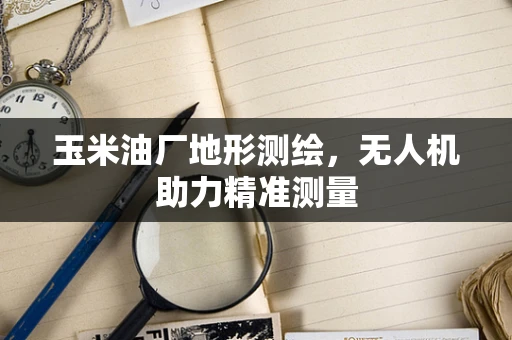 玉米油厂地形测绘，无人机助力精准测量