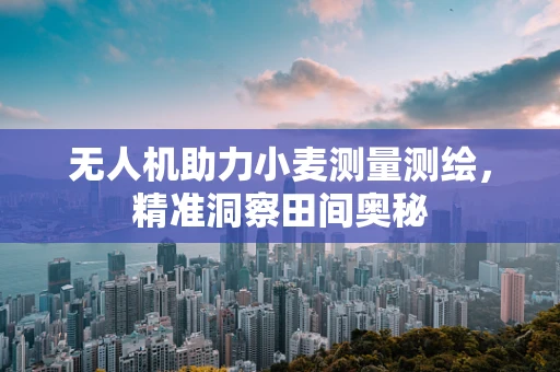无人机助力小麦测量测绘，精准洞察田间奥秘