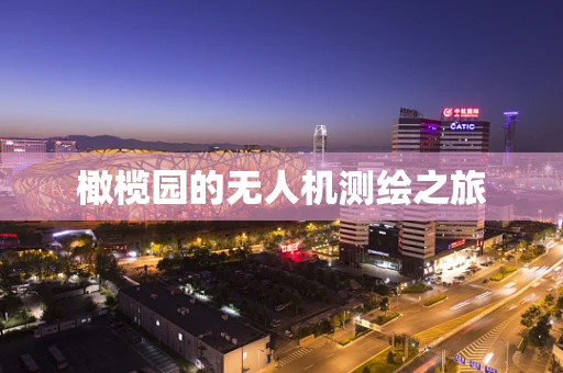 橄榄园的无人机测绘之旅