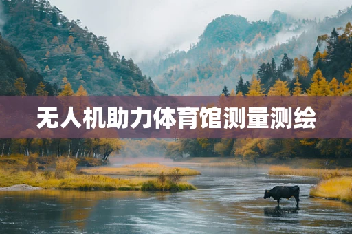 无人机助力体育馆测量测绘