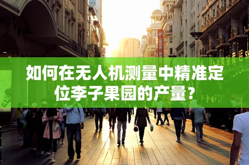 如何在无人机测量中精准定位李子果园的产量？