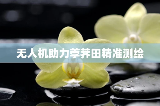 无人机助力荸荠田精准测绘