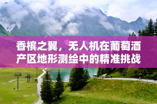 香槟之翼，无人机在葡萄酒产区地形测绘中的精准挑战