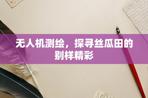 无人机测绘，探寻丝瓜田的别样精彩