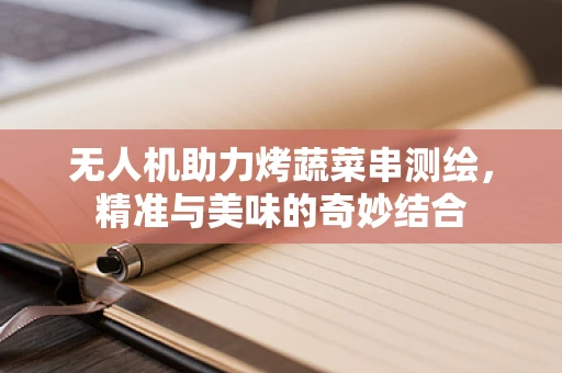 无人机助力烤蔬菜串测绘，精准与美味的奇妙结合