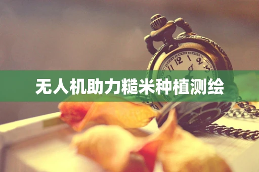 无人机助力糙米种植测绘