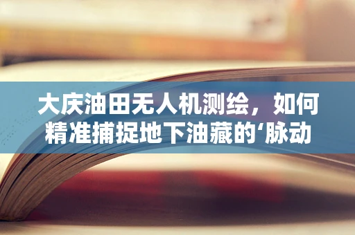 大庆油田无人机测绘，如何精准捕捉地下油藏的‘脉动’？