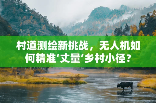 村道测绘新挑战，无人机如何精准‘丈量’乡村小径？