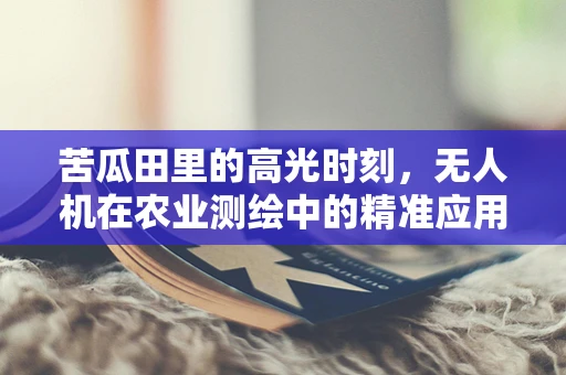 苦瓜田里的高光时刻，无人机在农业测绘中的精准应用挑战