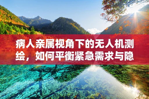 病人亲属视角下的无人机测绘，如何平衡紧急需求与隐私保护？