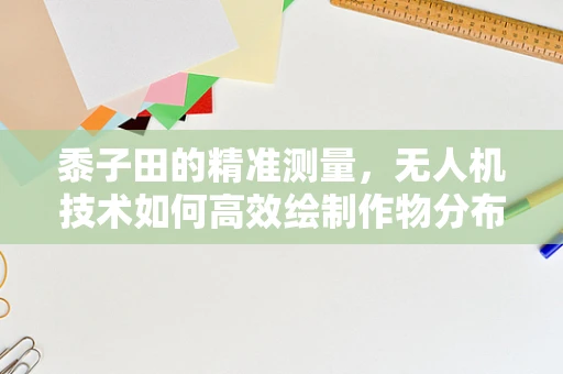 黍子田的精准测量，无人机技术如何高效绘制作物分布图？