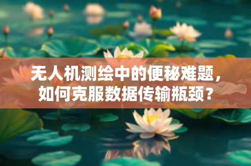 无人机测绘中的便秘难题，如何克服数据传输瓶颈？