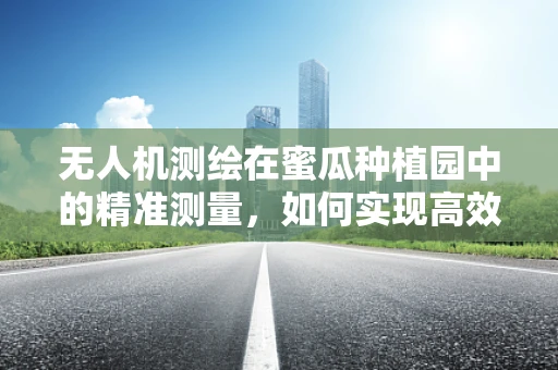 无人机测绘在蜜瓜种植园中的精准测量，如何实现高效、无损的作物监测？