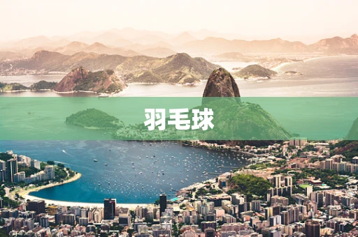 羽毛球