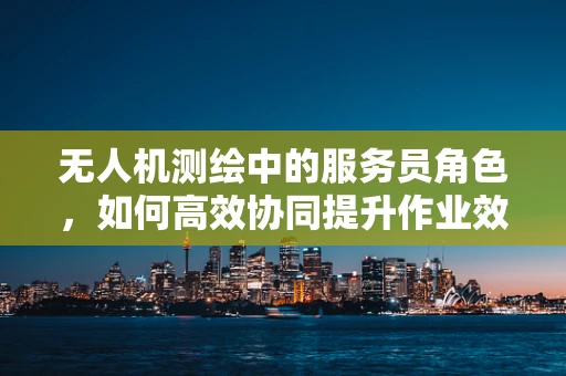 无人机测绘中的服务员角色，如何高效协同提升作业效率？