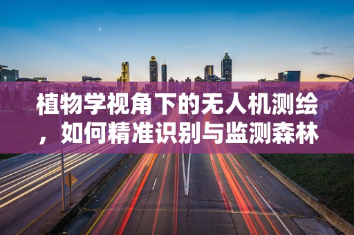 植物学视角下的无人机测绘，如何精准识别与监测森林植被多样性？