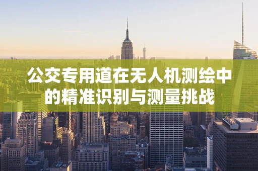 公交专用道在无人机测绘中的精准识别与测量挑战