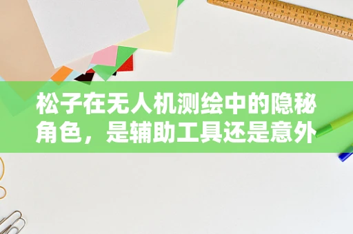 松子在无人机测绘中的隐秘角色，是辅助工具还是意外惊喜？