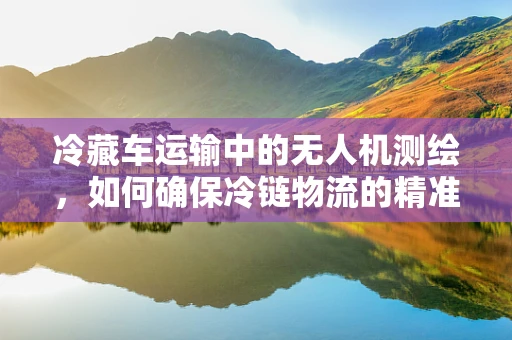 冷藏车运输中的无人机测绘，如何确保冷链物流的精准监控？