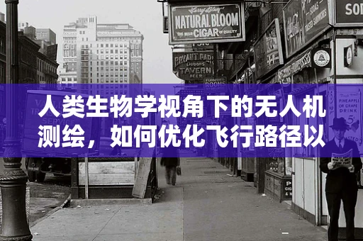 人类生物学视角下的无人机测绘，如何优化飞行路径以减少对生物多样性的影响？