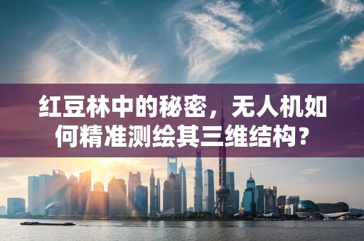 红豆林中的秘密，无人机如何精准测绘其三维结构？