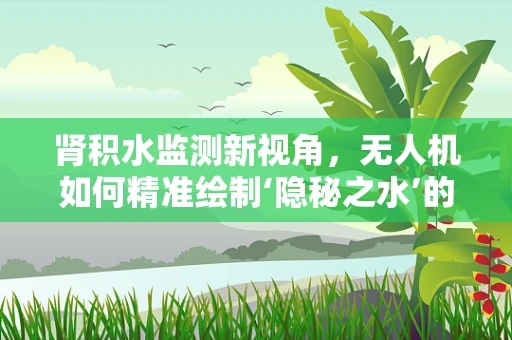 肾积水监测新视角，无人机如何精准绘制‘隐秘之水’的地图？