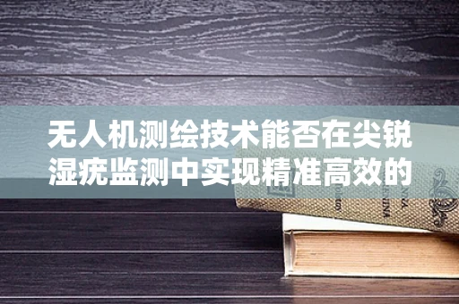 无人机测绘技术能否在尖锐湿疣监测中实现精准高效的空间分析？