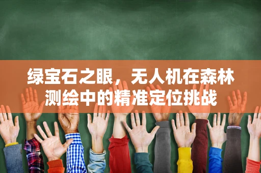 绿宝石之眼，无人机在森林测绘中的精准定位挑战
