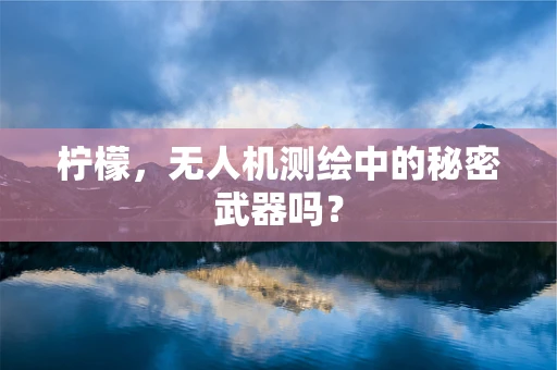 柠檬，无人机测绘中的秘密武器吗？