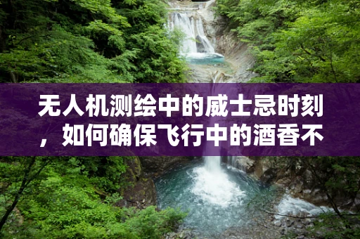 无人机测绘中的威士忌时刻，如何确保飞行中的酒香不扰乱测量精度？