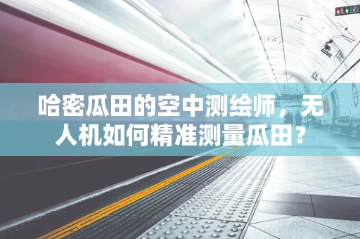哈密瓜田的空中测绘师，无人机如何精准测量瓜田？