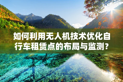 如何利用无人机技术优化自行车租赁点的布局与监测？
