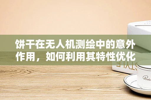 饼干在无人机测绘中的意外作用，如何利用其特性优化飞行稳定性？