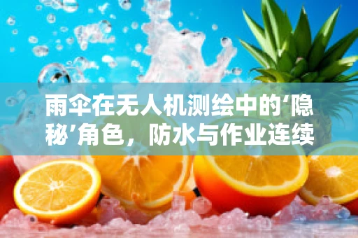 雨伞在无人机测绘中的‘隐秘’角色，防水与作业连续性的平衡？