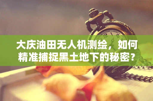 大庆油田无人机测绘，如何精准捕捉黑土地下的秘密？