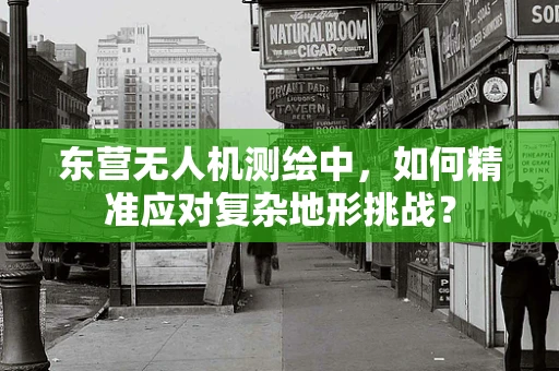 东营无人机测绘中，如何精准应对复杂地形挑战？
