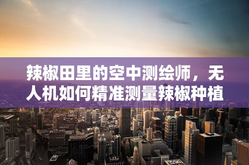 辣椒田里的空中测绘师，无人机如何精准测量辣椒种植面积？