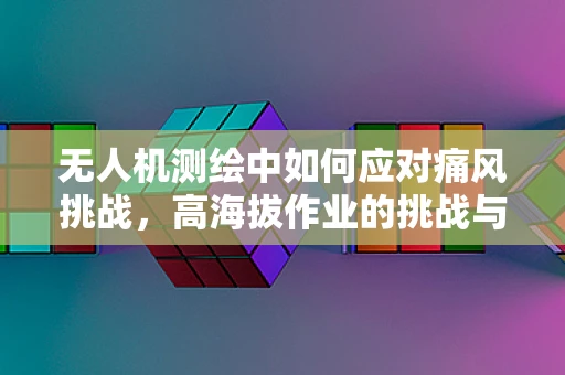 无人机测绘中如何应对痛风挑战，高海拔作业的挑战与解决方案