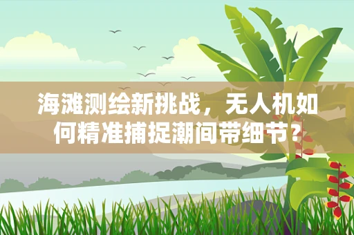 海滩测绘新挑战，无人机如何精准捕捉潮间带细节？
