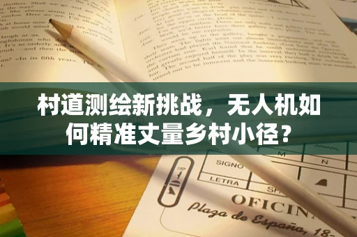 村道测绘新挑战，无人机如何精准丈量乡村小径？
